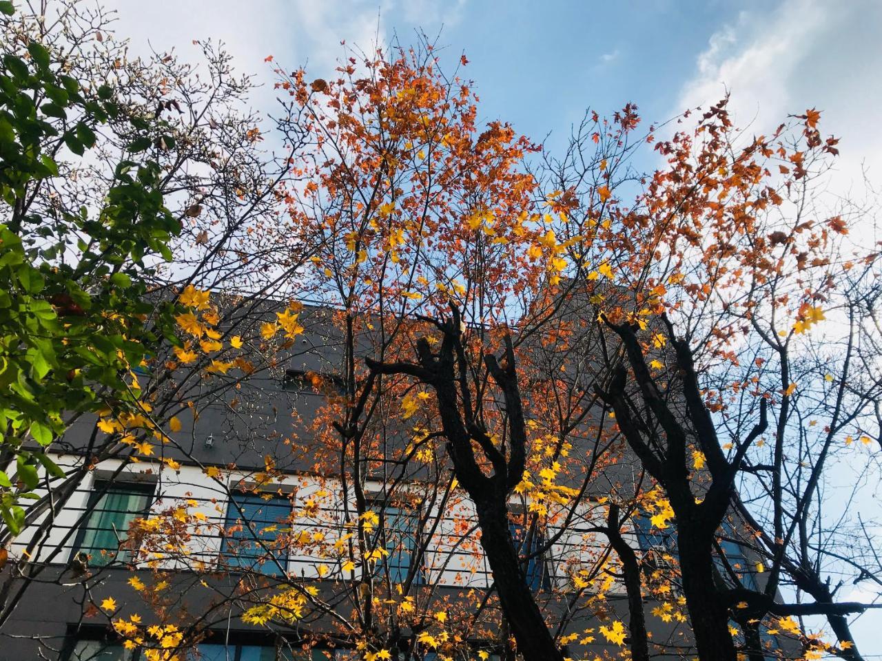 Naru Guesthouse Seoul Exteriör bild