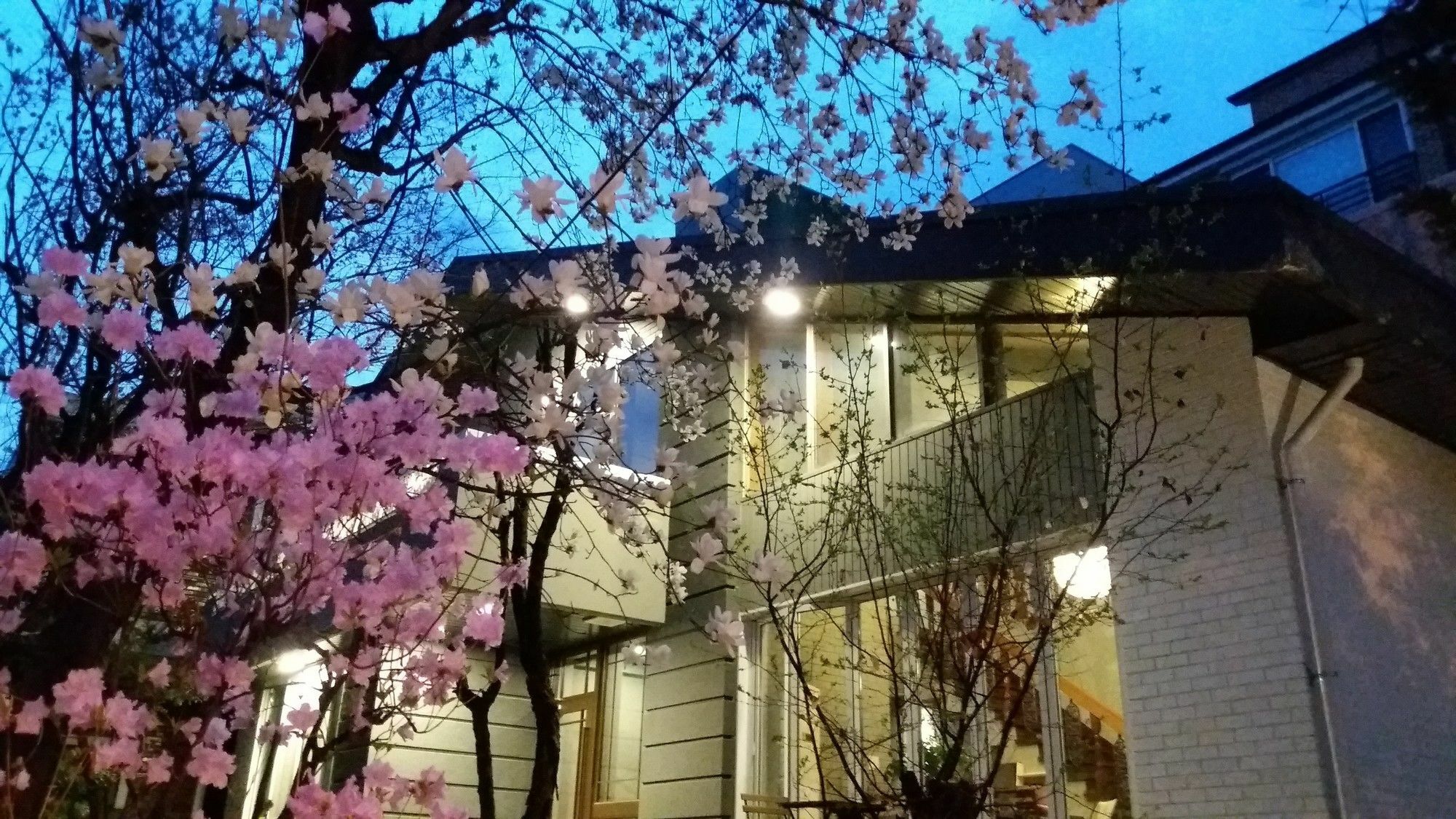Naru Guesthouse Seoul Exteriör bild